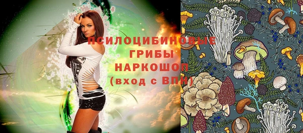 амф Алексеевка