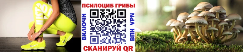 Галлюциногенные грибы прущие грибы  Лесосибирск 