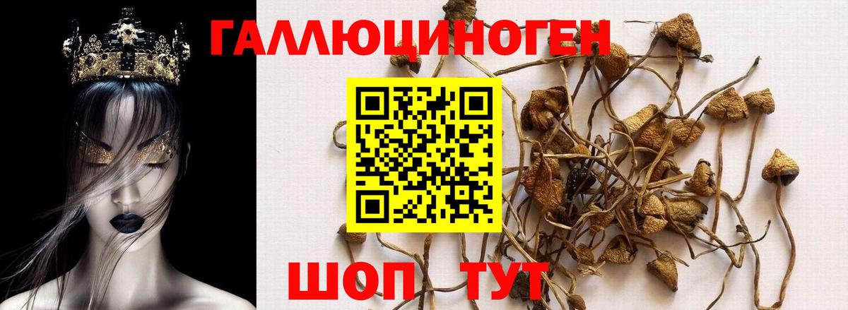 Псилоцибиновые грибы MAGIC MUSHROOMS Лесосибирск