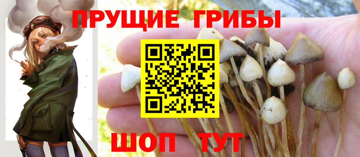 Галлюциногенные грибы мицелий  Галлюциногенные грибы GOLDEN TEACHER  Лесосибирск 