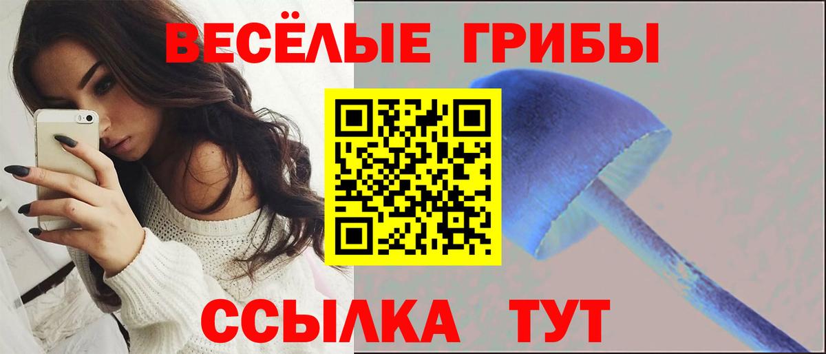Лесосибирск  где купить   Вход с VPN  Галлюциногенные грибы прущие грибы 